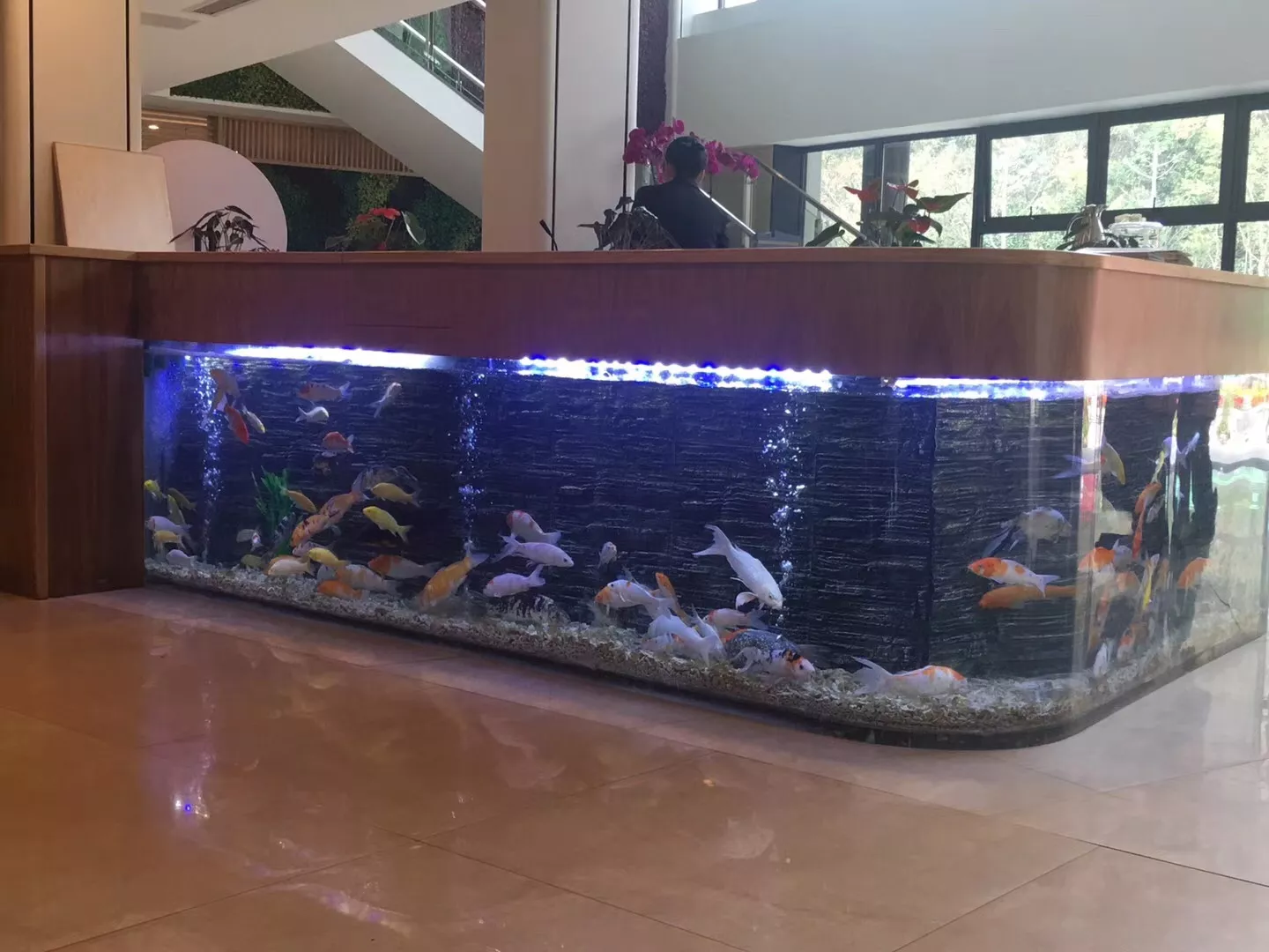 矩形鱼缸